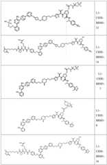 Figure BDA0004113777320000851