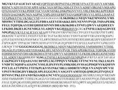 Figure imgf000111_0002