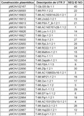 Figure imgf000015_0001