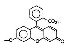 Figure imgf000072_0003