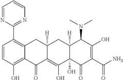 Figure US08088820-20120103-C00495