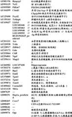 Figure BDA0000057170160000841