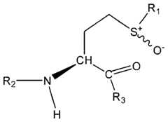 Figure imgf000019_0001