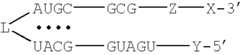 Figure US06656731-20031202-C00002