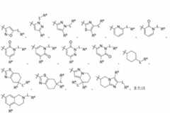 Figure 2023525047000481