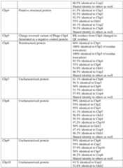 Figure imgf000057_0001