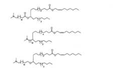 Figure 2022508511000063