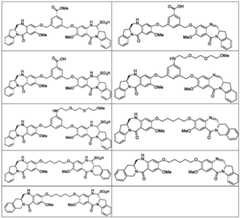 Figure BDA0003285627320000771