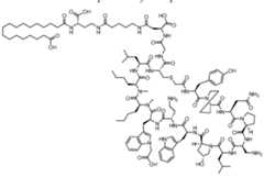 Figure imgf000565_0001