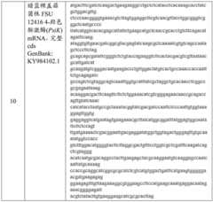 Figure BDA0003676072500000321