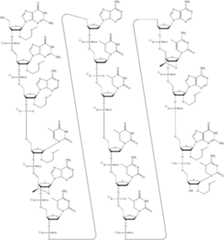 Figure US10669546-20200602-C00005