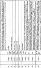 Figure BPA0000256061330001691