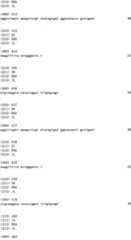 Figure IYZ000005393474000991