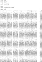 Figure IDA0002536600790001091