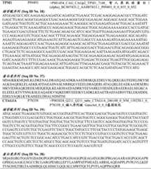 Figure BDA0003206688030000351