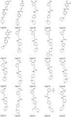 Figure 112007005999643-pct00014