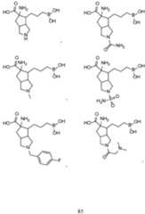 Figure imgf000086_0001