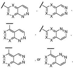 Figure imgf000029_0002