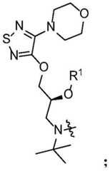 Figure BDA0002268634580001162