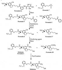 Figure imgf000037_0001