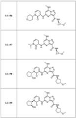 Figure imgf000335_0001