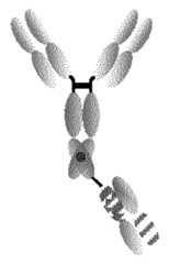 Figure imgf000209_0001