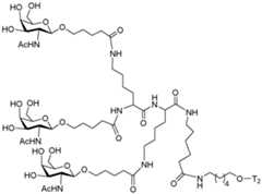 Figure imgf000143_0002