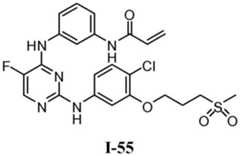 Figure BDA0001453135130002332