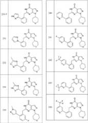 Figure BDA0000095696590000201