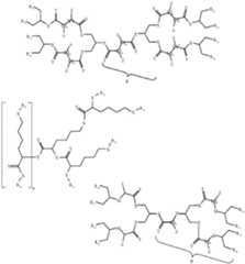 Figure imgf000204_0002
