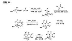 Figure 108131375-A0202-12-0213-813