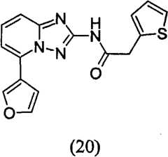 Figure GPA00001035513100742