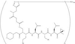 Figure US09309283-20160412-C00217