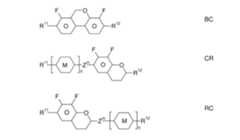 Figure 2024079817000074