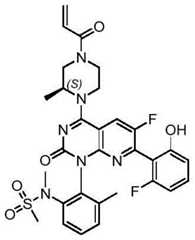 Figure BDA0002861043520000761