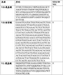 Figure BDA0004014042770000072