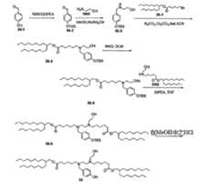 Figure 111101514-A0305-12-0242-159