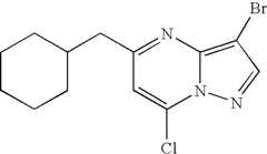 Figure US07119200-20061010-C00875