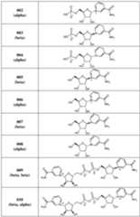 Figure imgf000039_0001