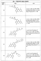 Figure G2007800513551D01161