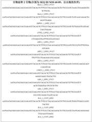 Figure BDA0002117476820001201