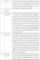 Figure PCTCN2022139288-appb-000023