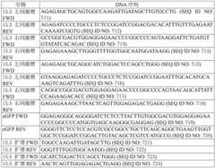 Figure BDA0003627552160002651