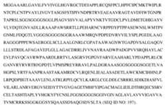 Figure imgf000173_0001