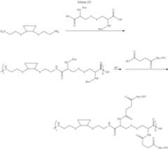 Figure US08475781-20130702-C00016