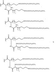 Figure 112009026250918-PCT00134