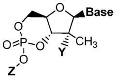 Figure imgf000017_0001