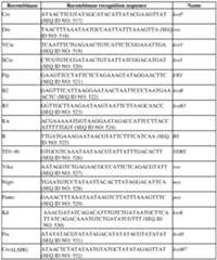 Figure imgf000536_0001