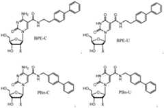 Figure imgf000031_0002
