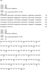 Figure imgb0135